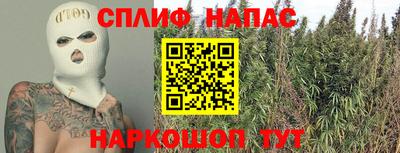 таблы Сланцы